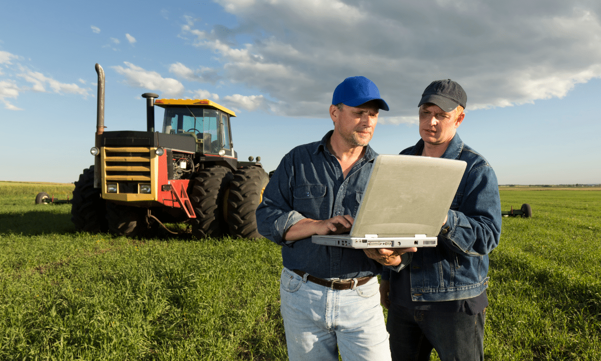 Farm Accounting Services in New Zealand